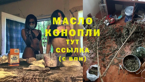 тгк Ельня