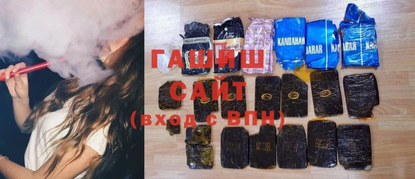 тгк Ельня