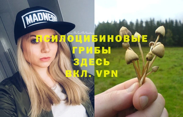 ешки Заводоуковск
