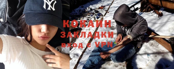 тгк Ельня