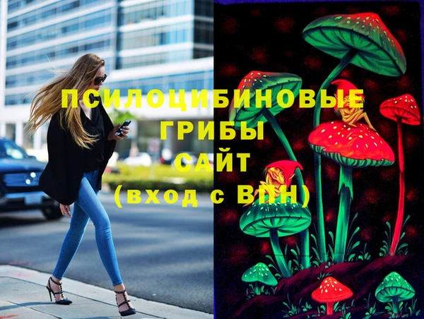 тгк Ельня