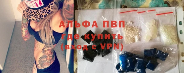 тгк Ельня