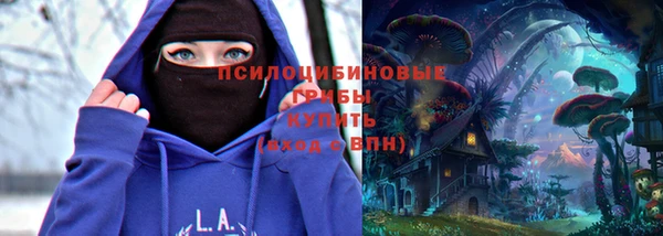 мескалин Елабуга