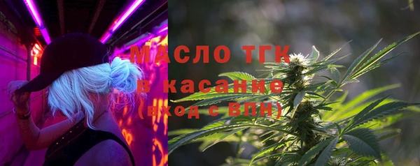 тгк Ельня